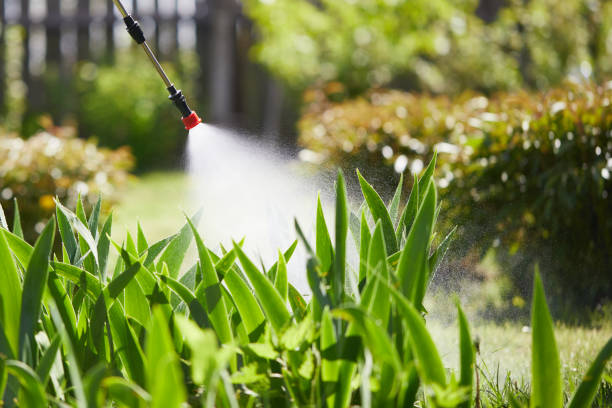 24/7 Emergency Wasp Removal experts in North Key Largo, FL